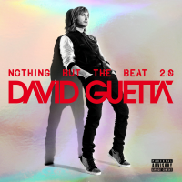 David Guetta - Nothing but the Beat 2.0